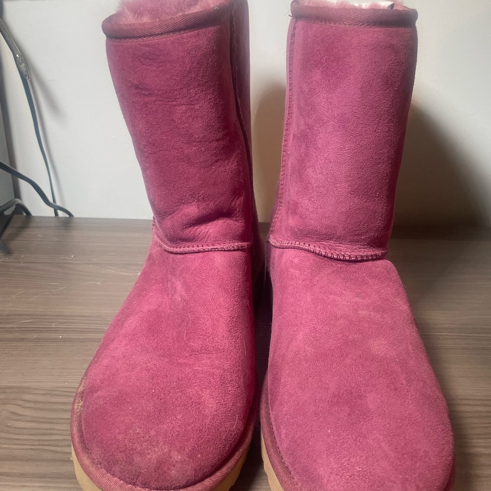 Magenta woman uggs (size 12)